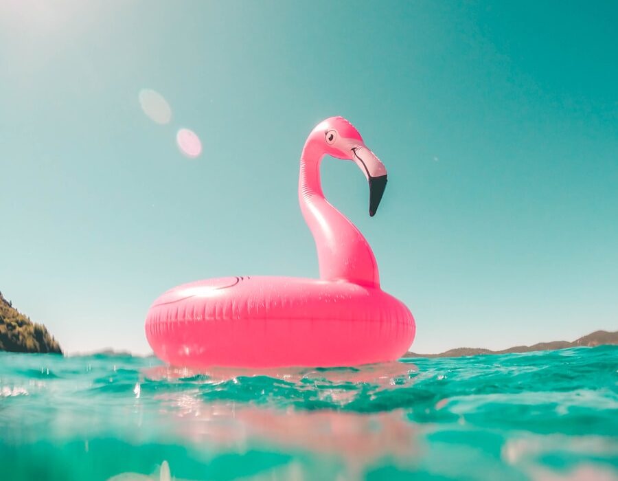 pink flamingo swim ring on body of water in summer