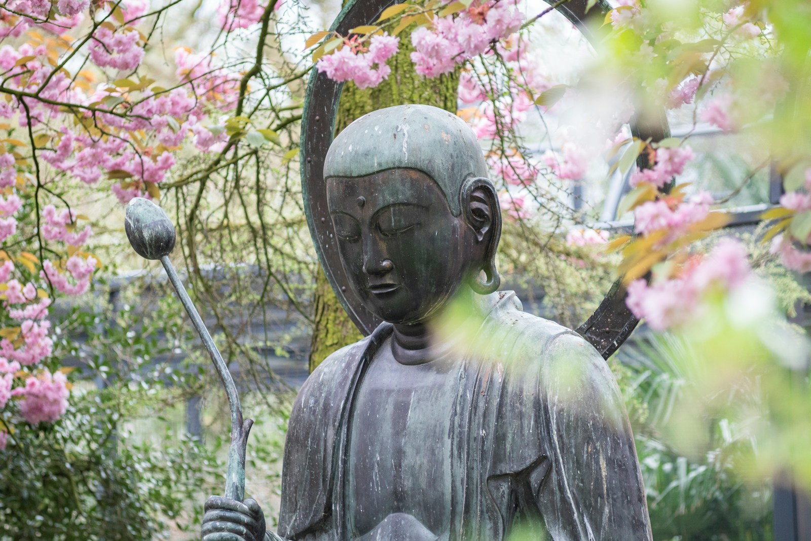 deity statue near tree